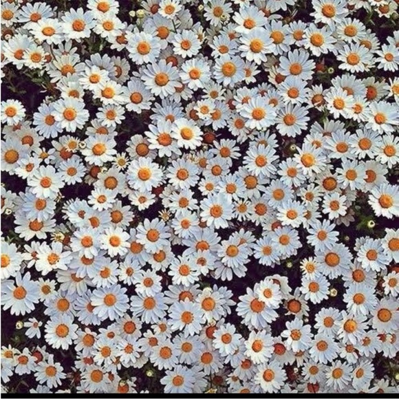 Meet your Posher, Kirsten - Picture 10 of 11